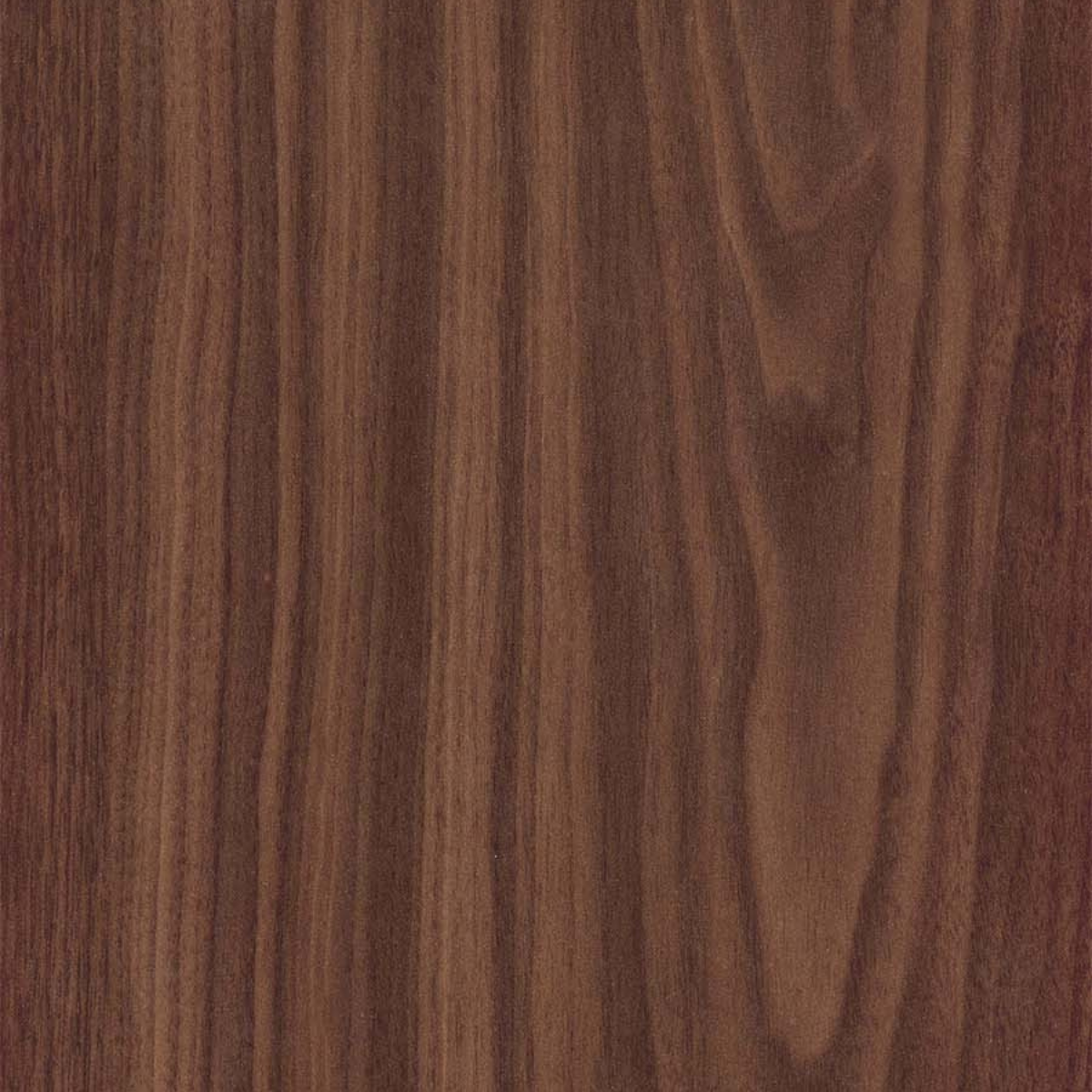 American Walnut GL 4x8