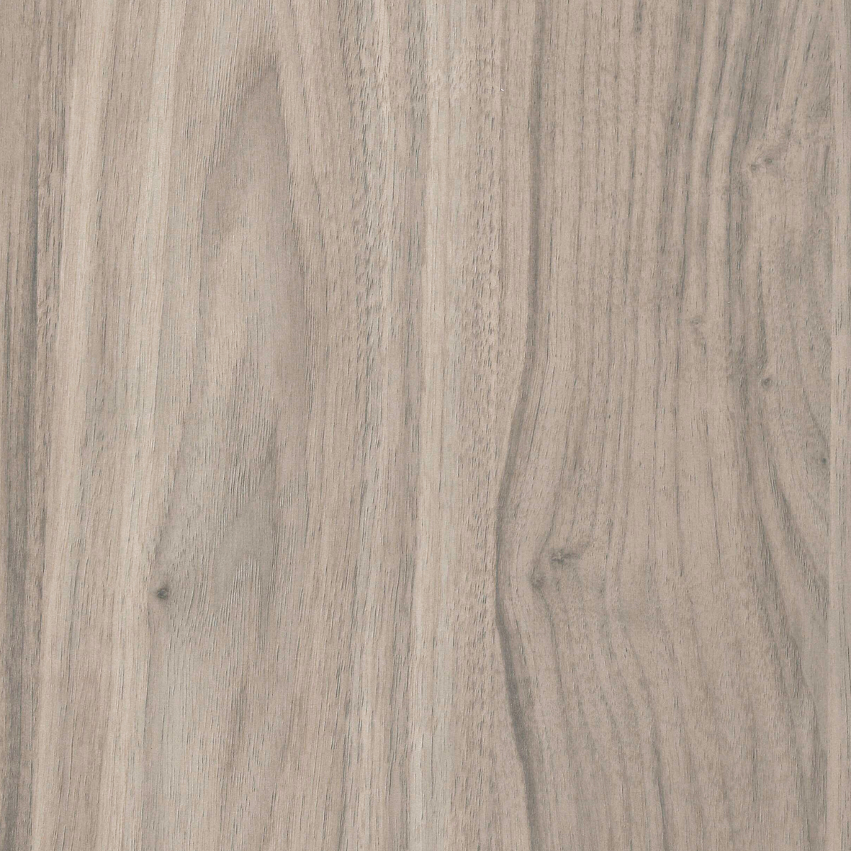 French Walnut LT 4x8