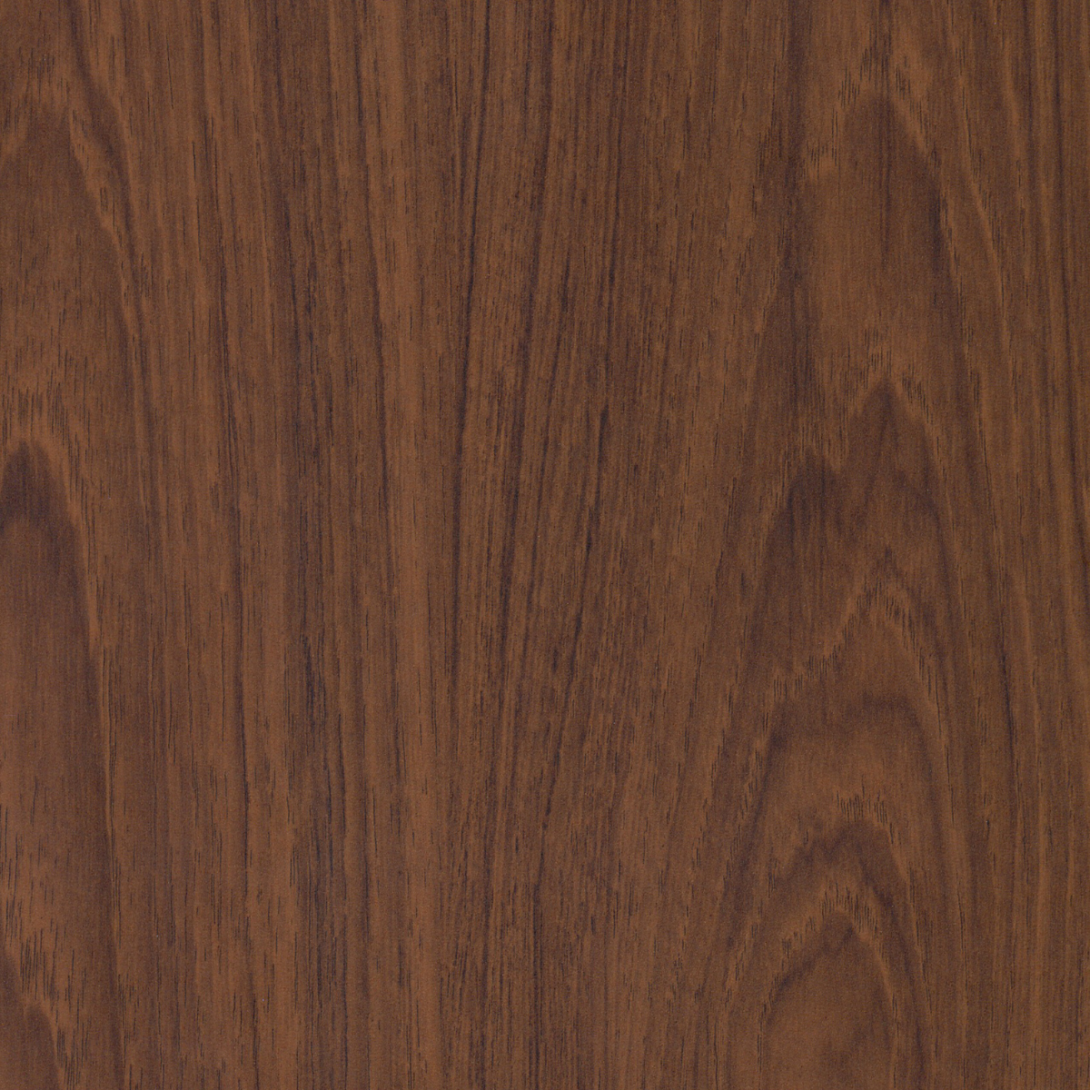 Dark Teak LT 4x8