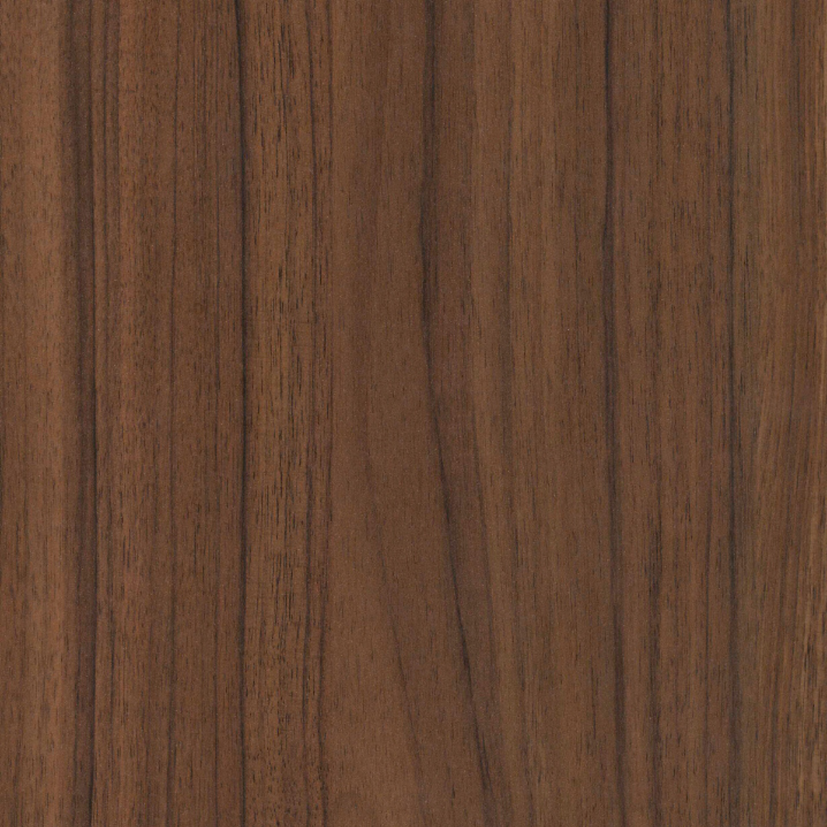 Italian Walnut LT 4x8